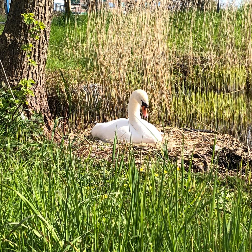 Foto's van lezers