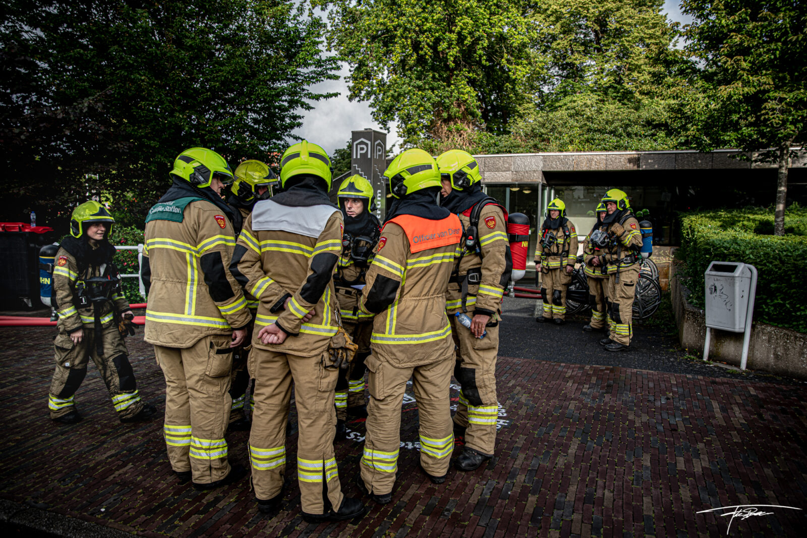 Foto van Frits #2