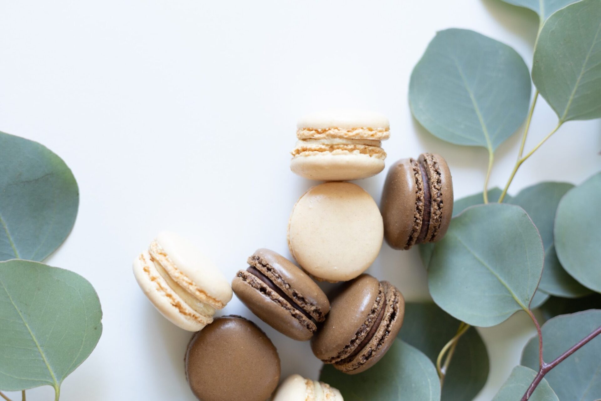 Zelf macarons maken
