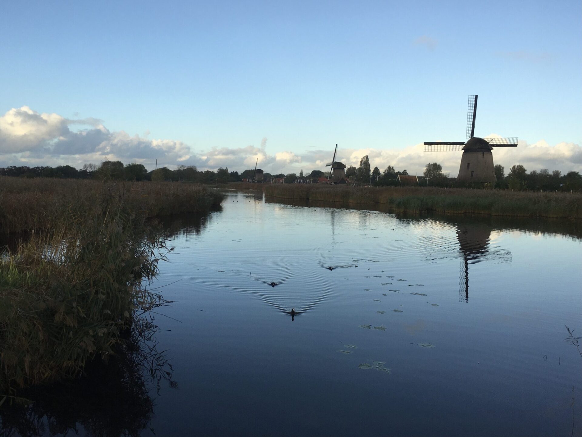 Foto van de week
