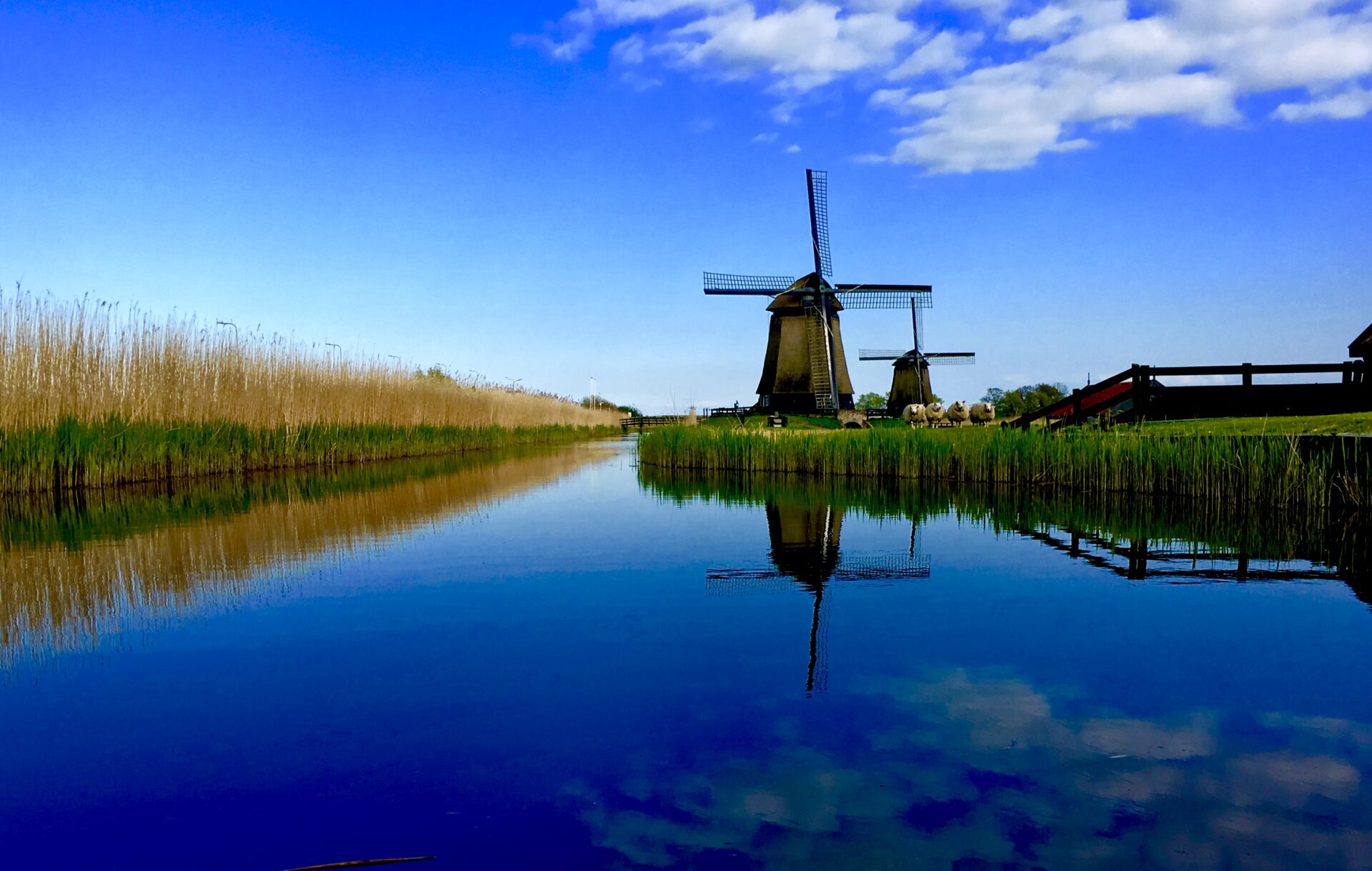 Foto van de week