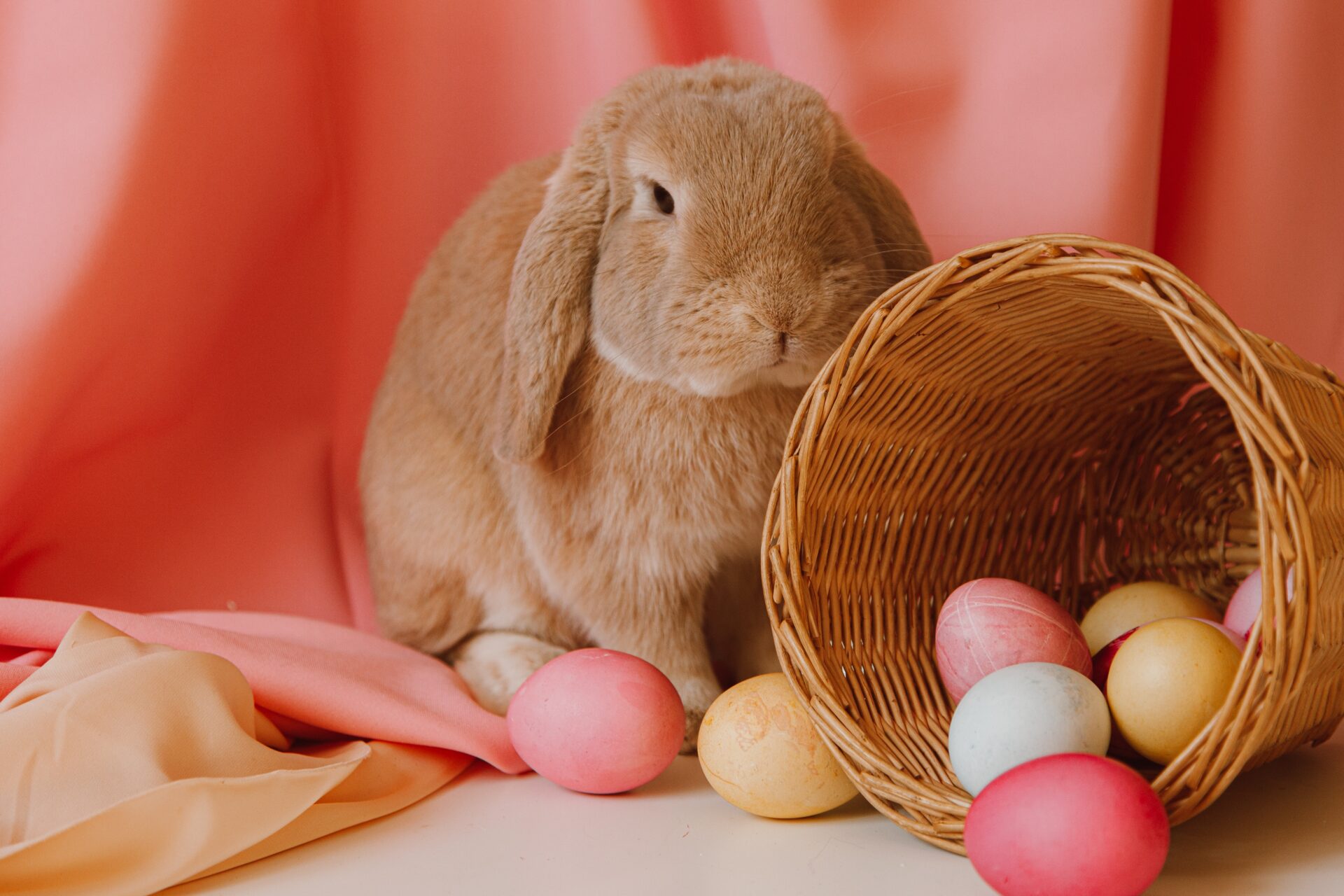 Doe-het-zelf lente decoraties