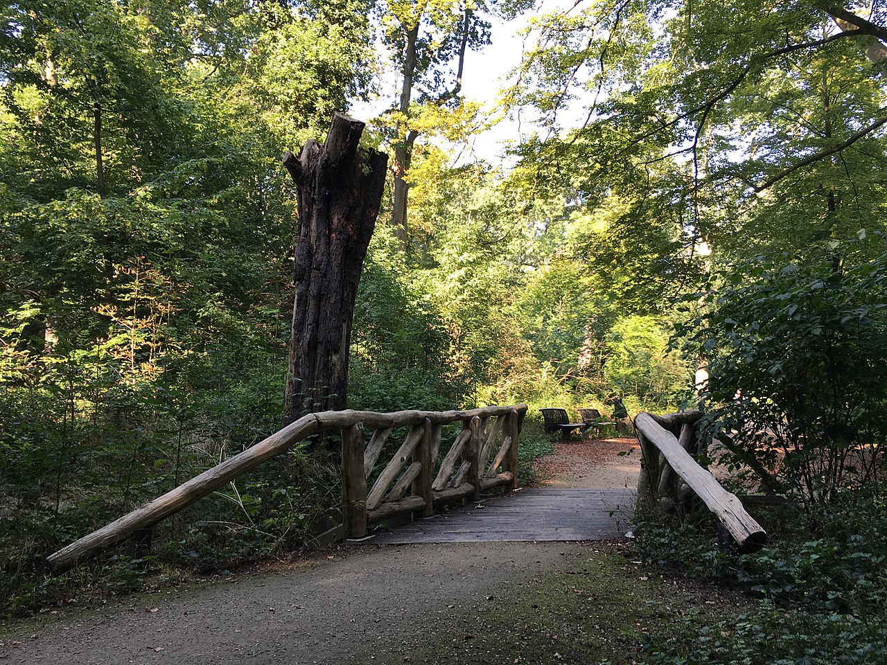 Dier & Natuur