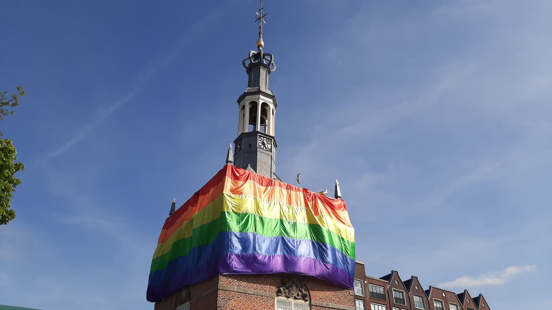 Foto van de week