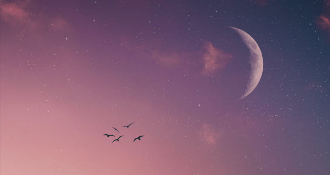 Astrologie