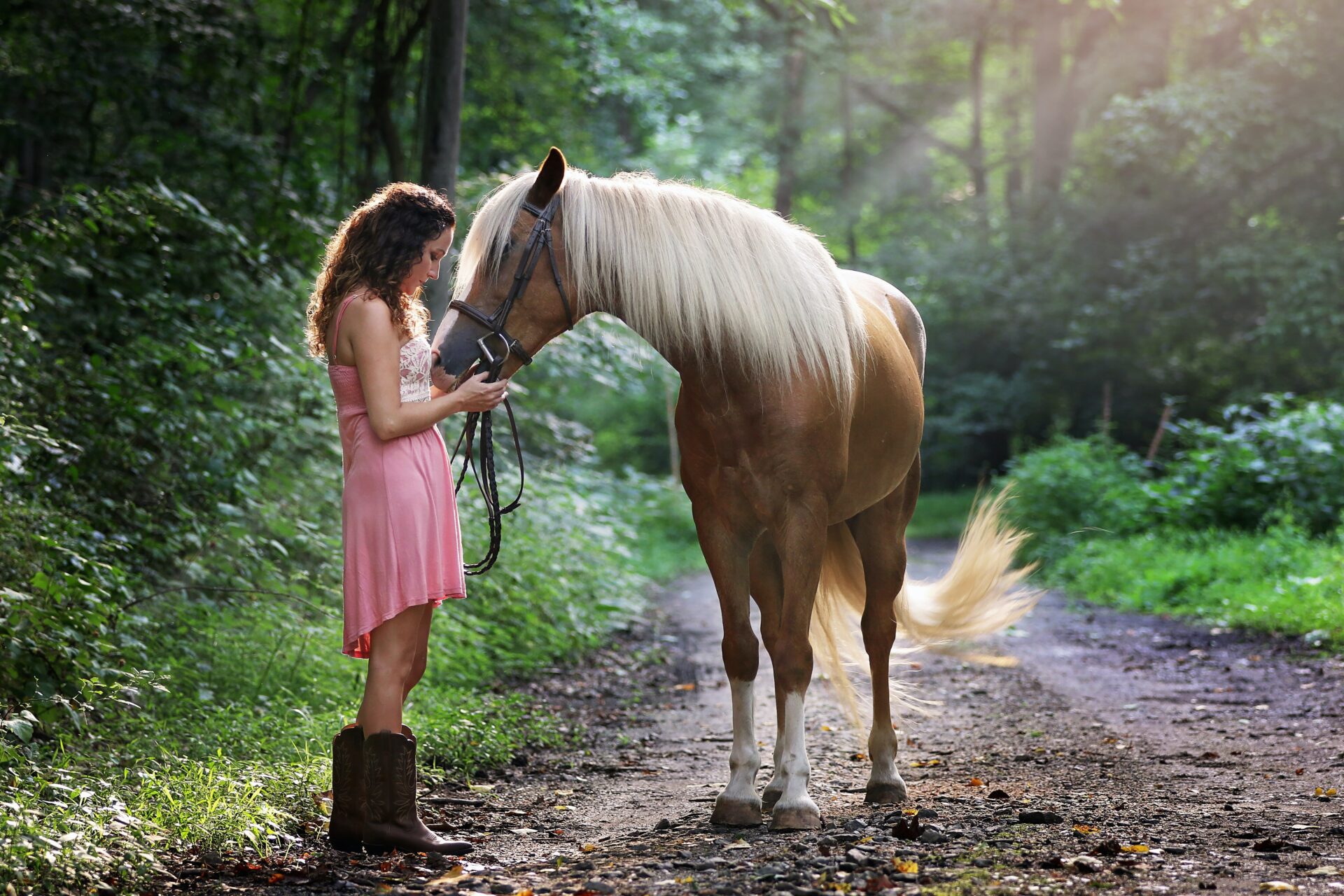 Dier & Natuur