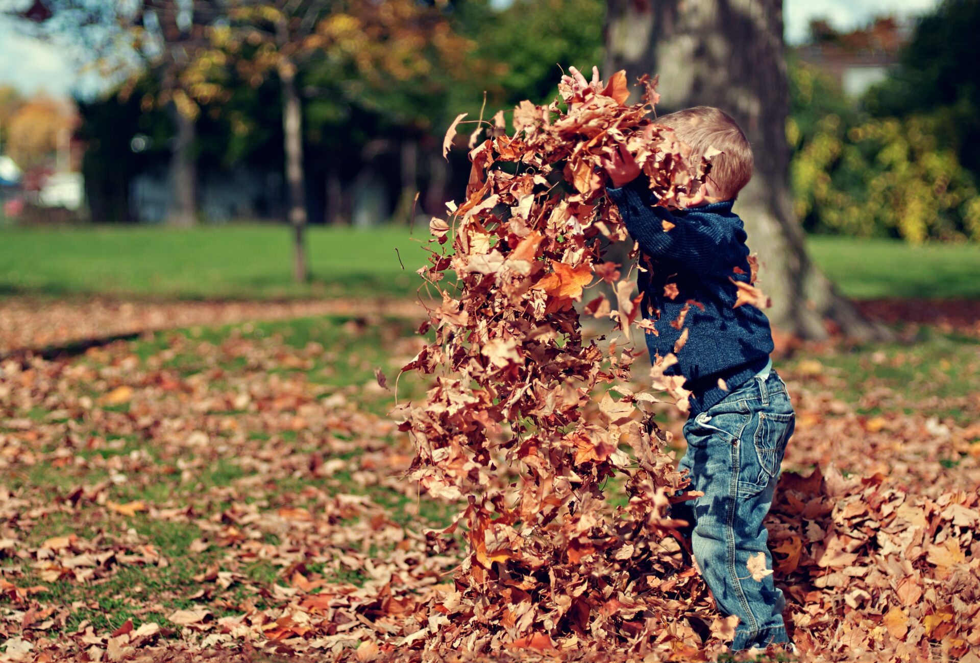 De leuke dingen van de herfst!