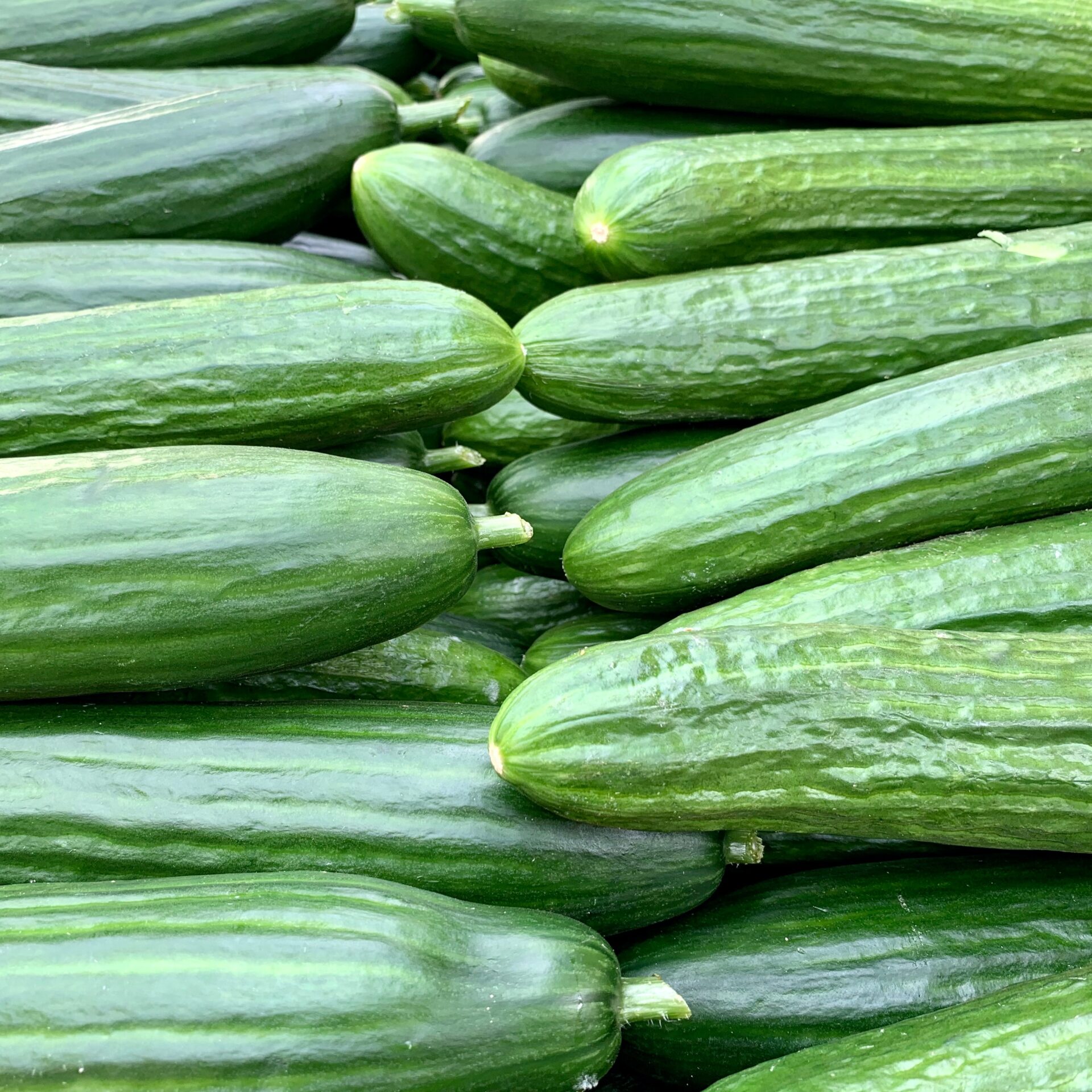 Gezondheid