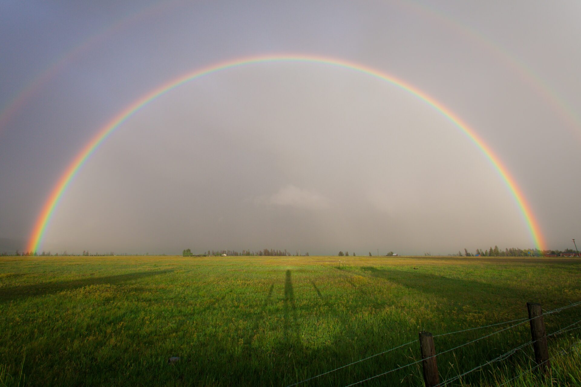 Het weer
