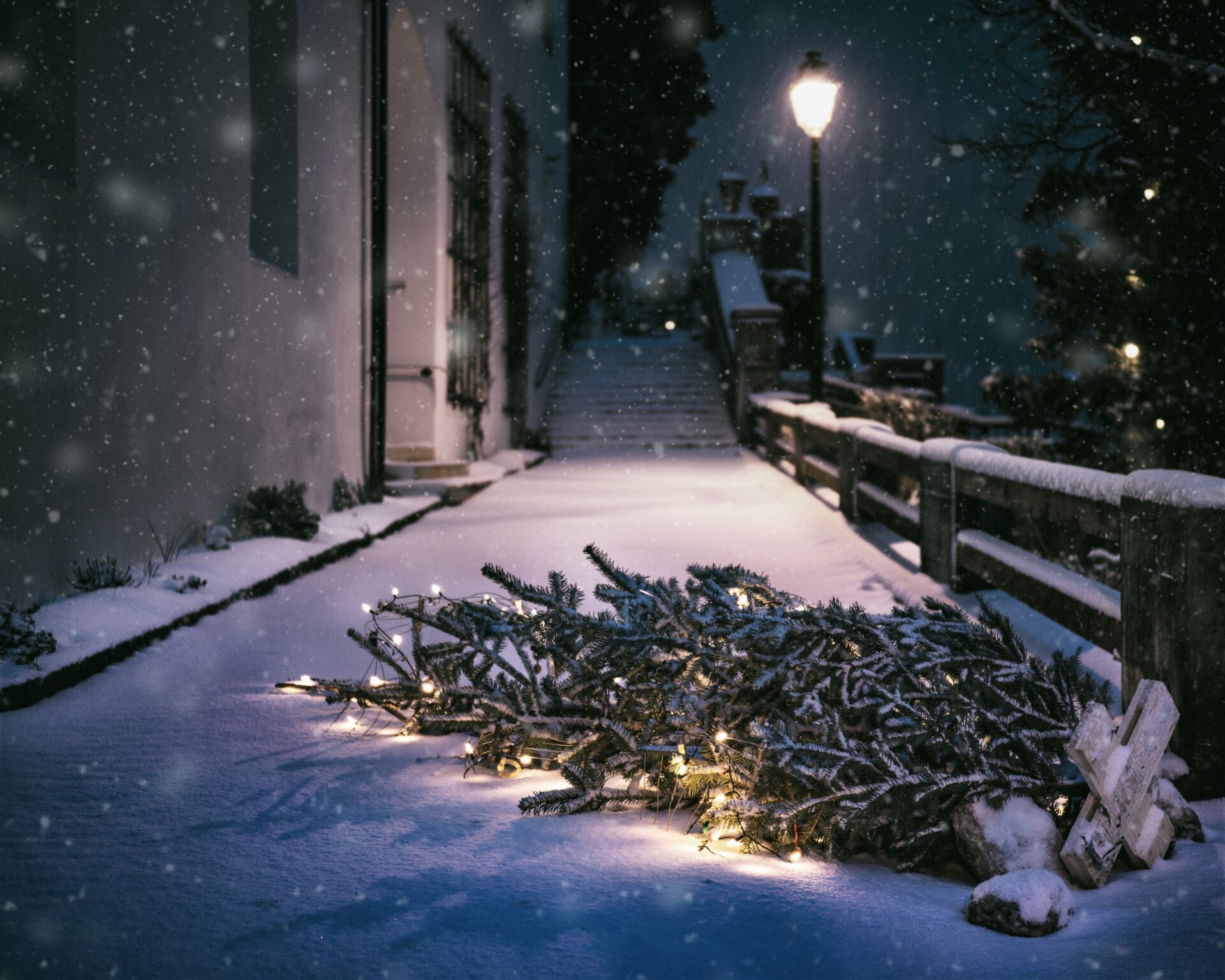 HVC recyclet kerstbomen