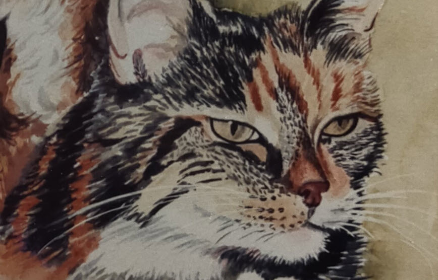 Huisdier aquarellen