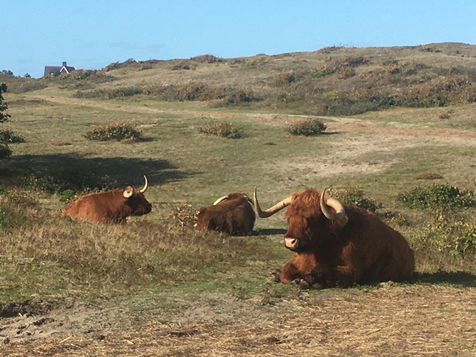 Natuur-en cultuurwandeling Bergen aan Zee