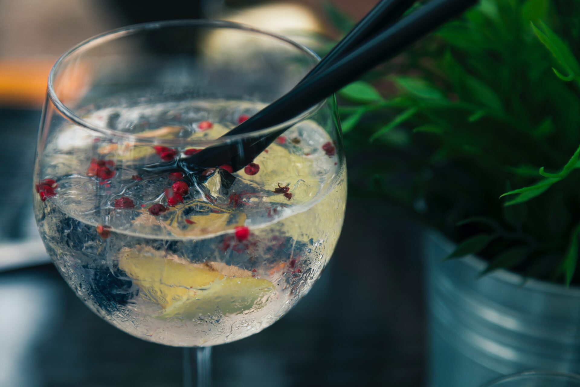 Zelf Gin Tonic maken
