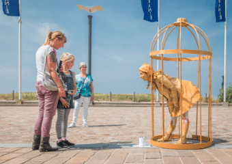 Programma 5 mei