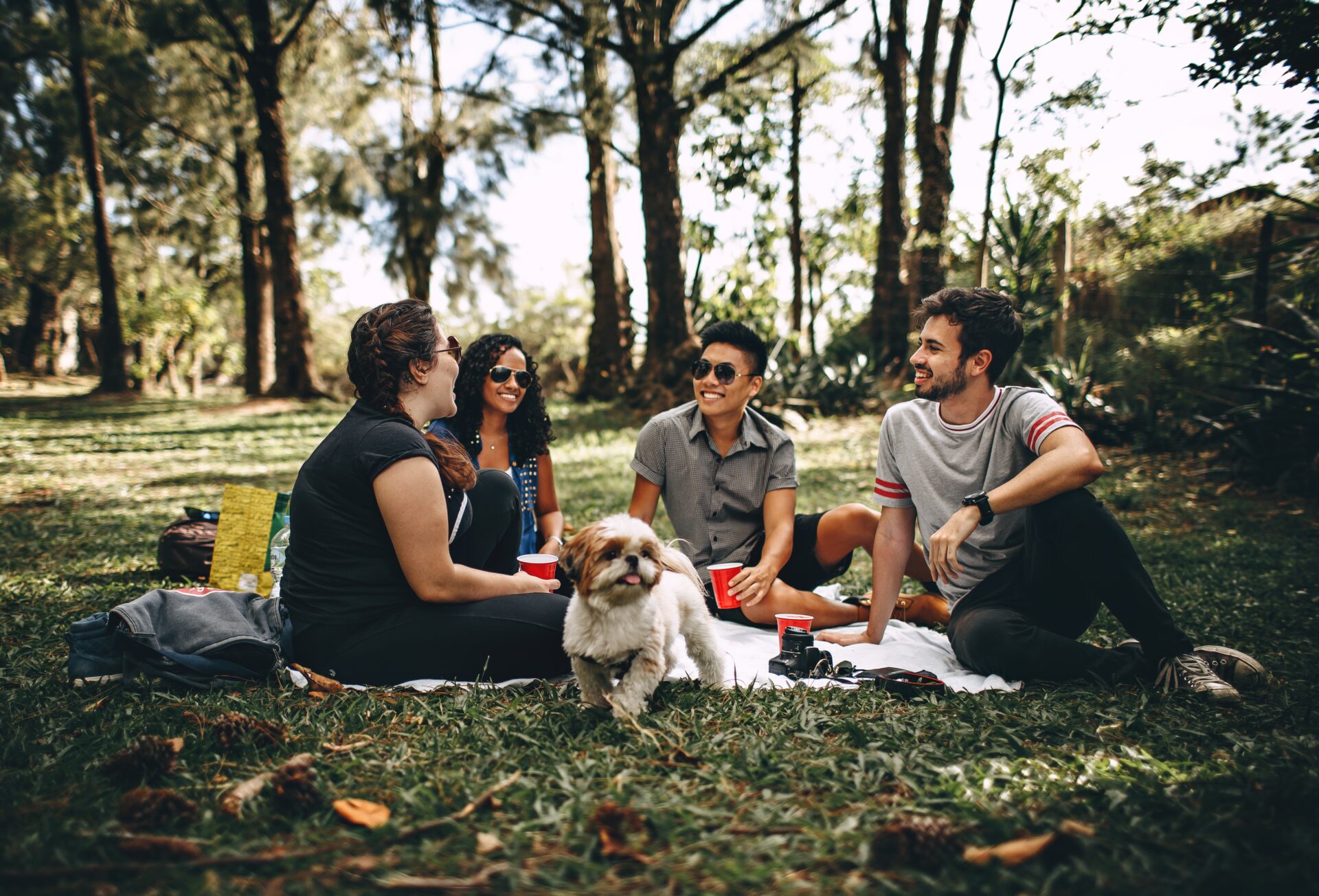 Picknicken voor de Voedselbank