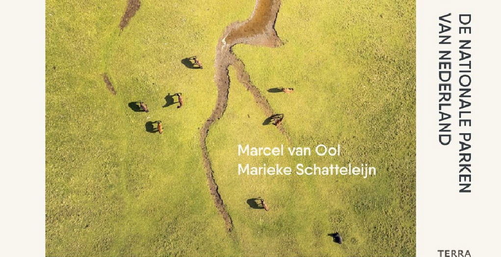 Boek van de week