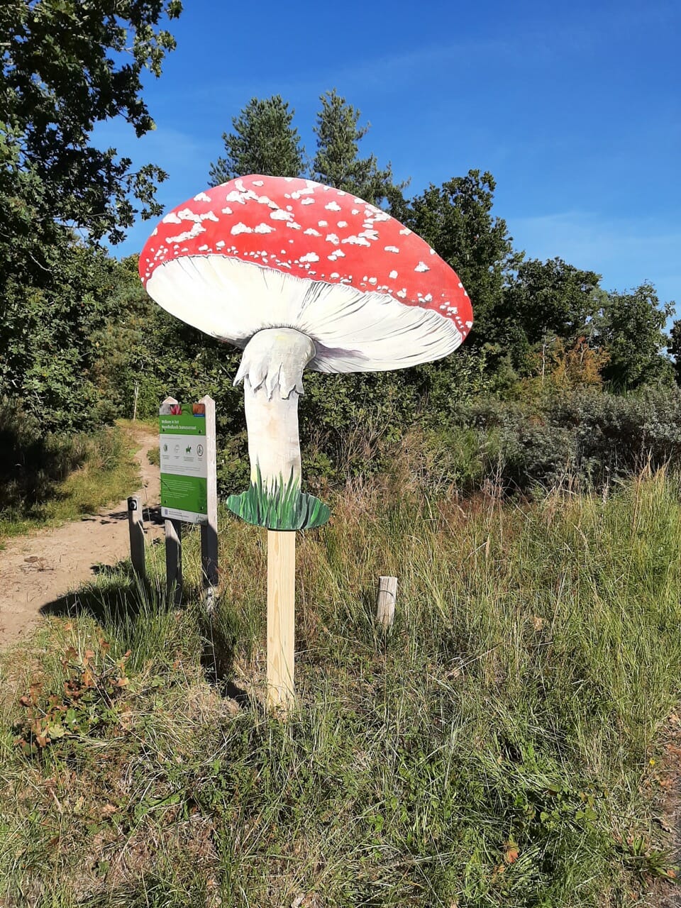 Paddenstoelendag