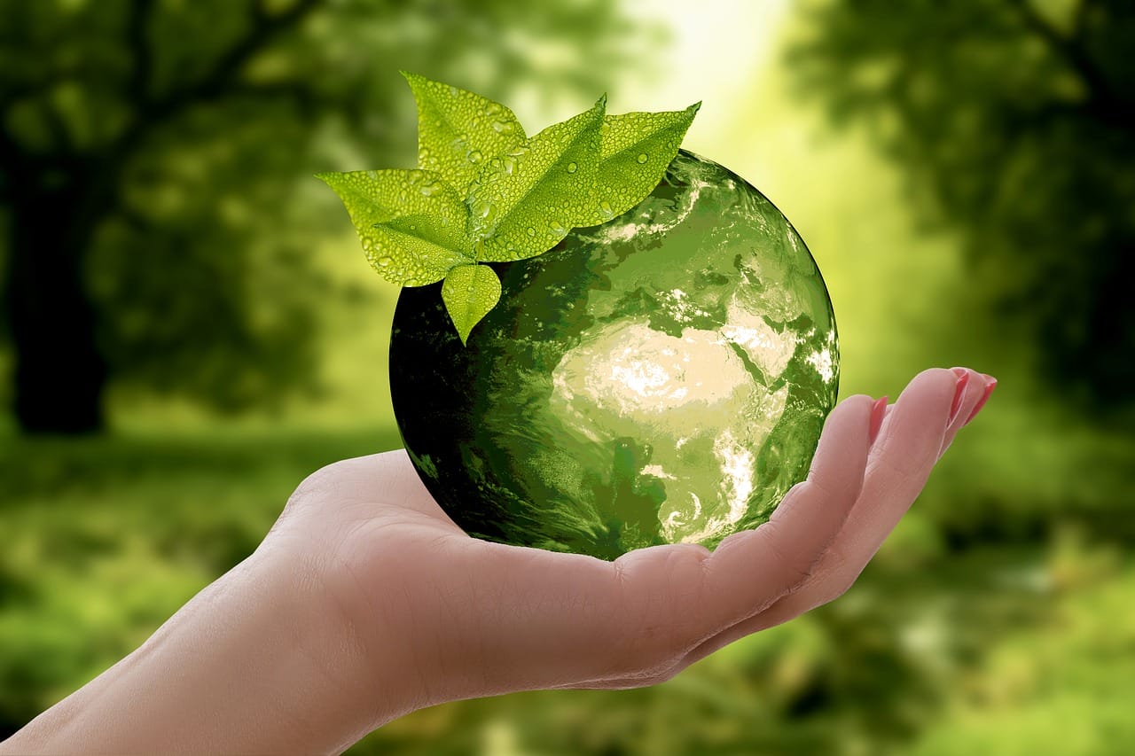 Klimaatcursus die theorie verbindt met actie