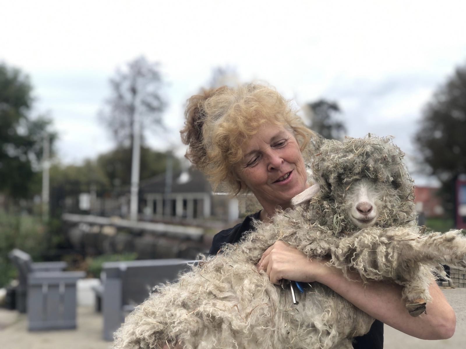 Crowdfunding voor pechgeitje Mekker van Wijkboerderij Alkmaar