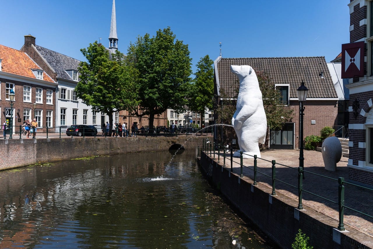 Unieke kans: Plassende IJsbeer naar Alkmaar!