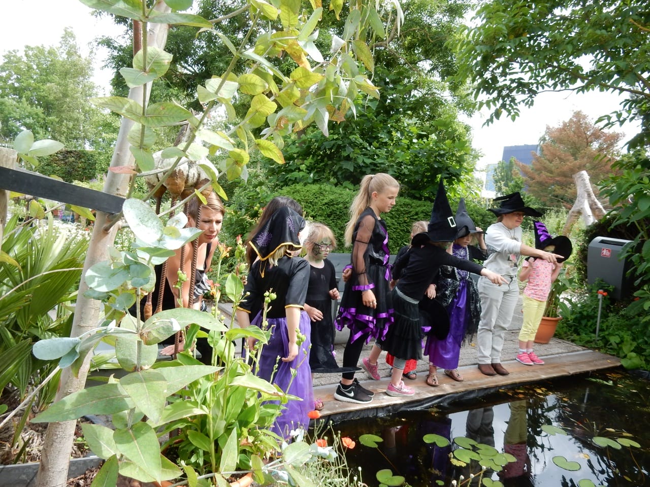 Herfstfestival