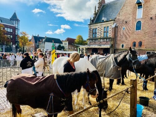 Landbouwdag Alkmaar