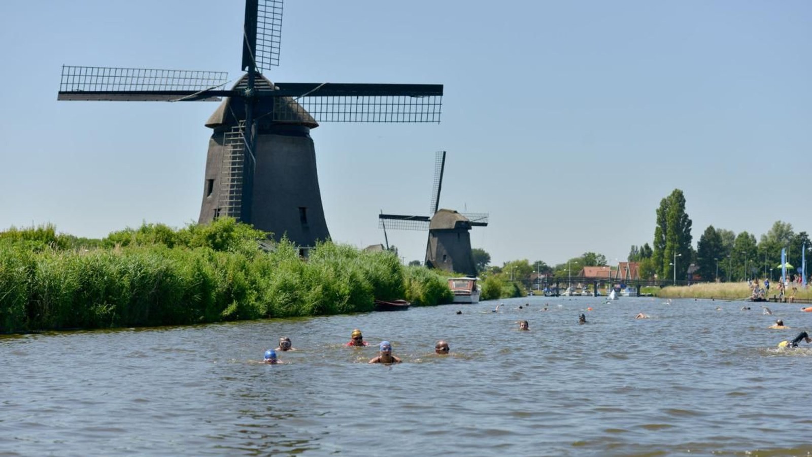 Hoornse-Vaart-Open-Water-Swim.1cbd751d90e568324161c704c6cbc579.jpg