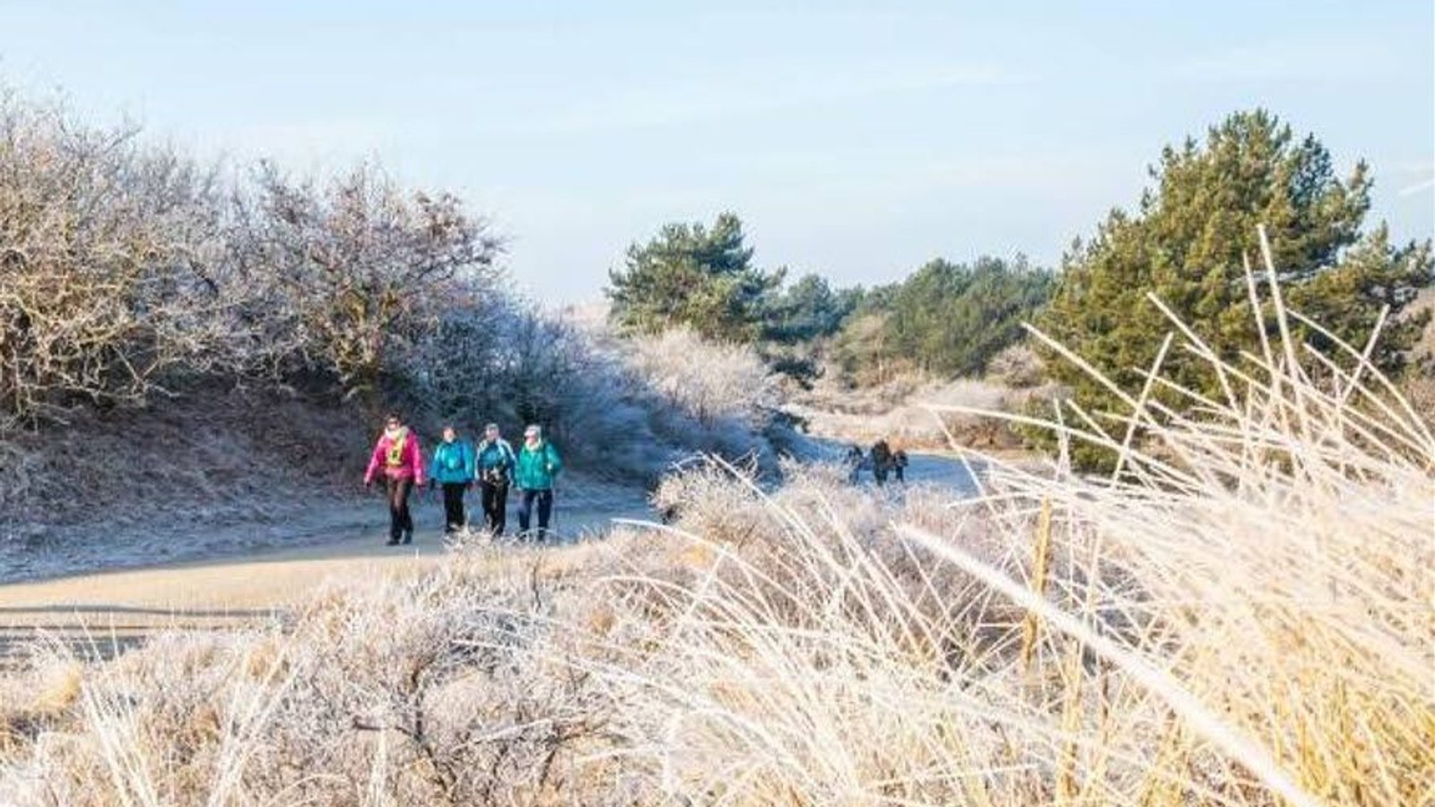 wandel-egmond1.jpg