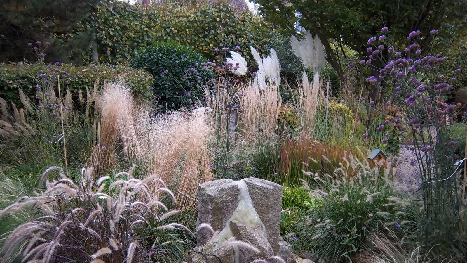 2026 Afbeelding tuin Hans en Marieke juli Top in de Kop..JPG