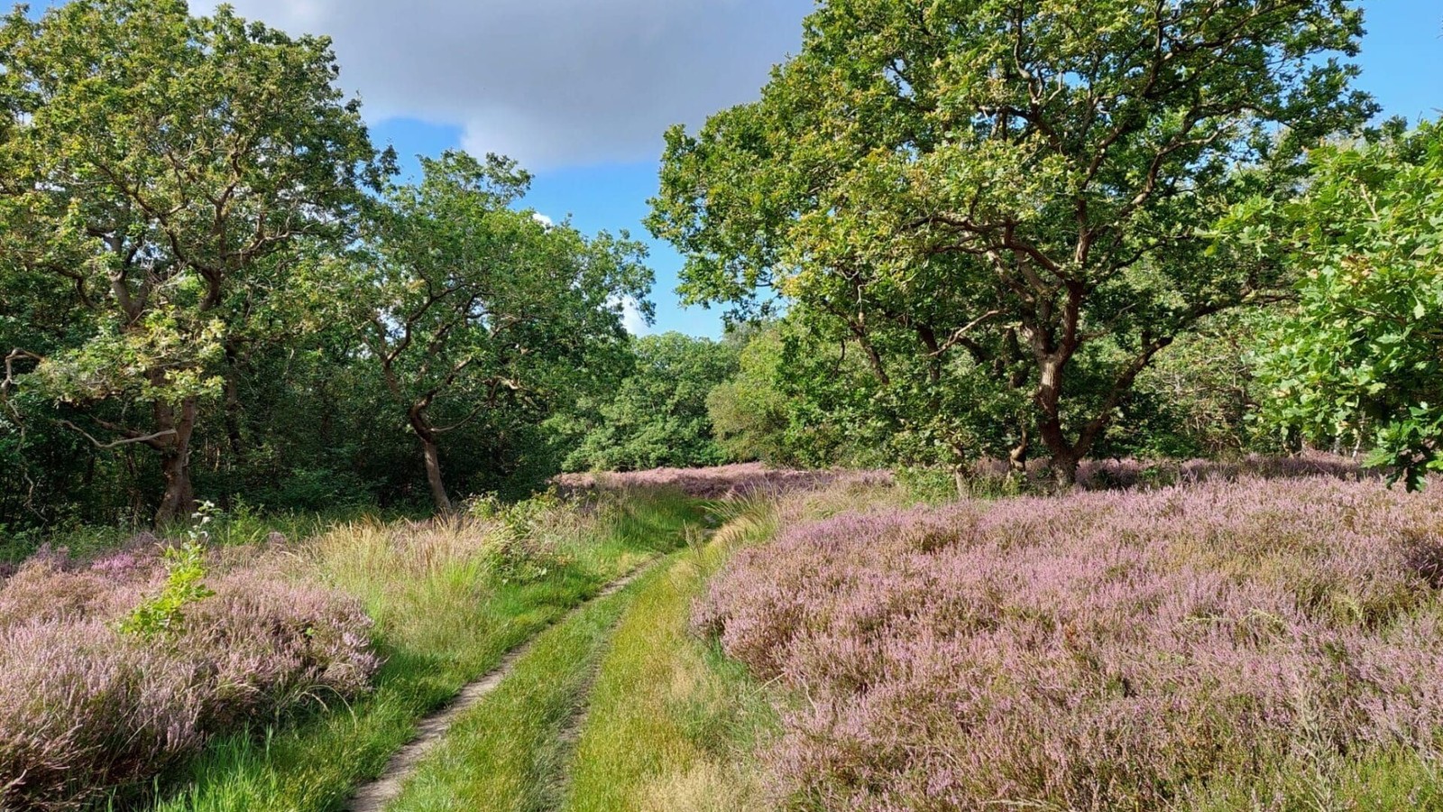 duinen-stil.jpg