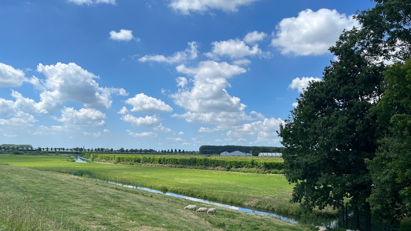 Landelijk gebied met groene weiden, sloot met blauw water, bomen aan de rechterkant en bewolkte lucht