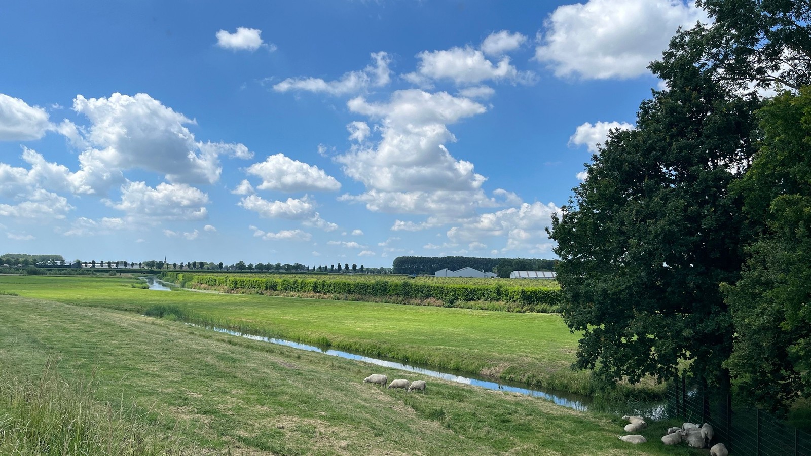 Landelijk gebied met groene weiden, sloot met blauw water, bomen aan de rechterkant en bewolkte lucht