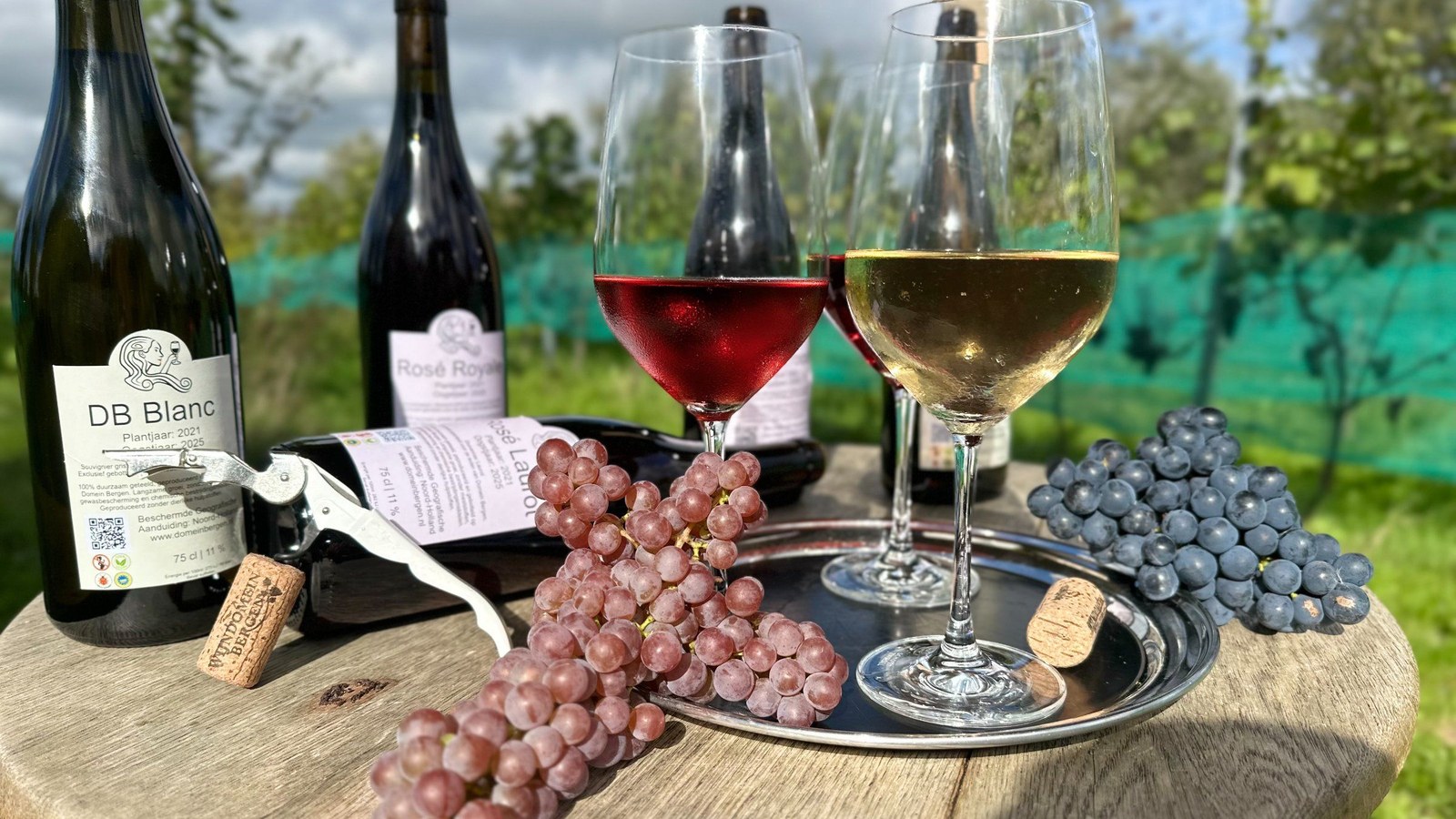 Wijnflessen met labeltekst, twee wijnglazen met rode en witte wijn, en verse druiven op tafel buiten