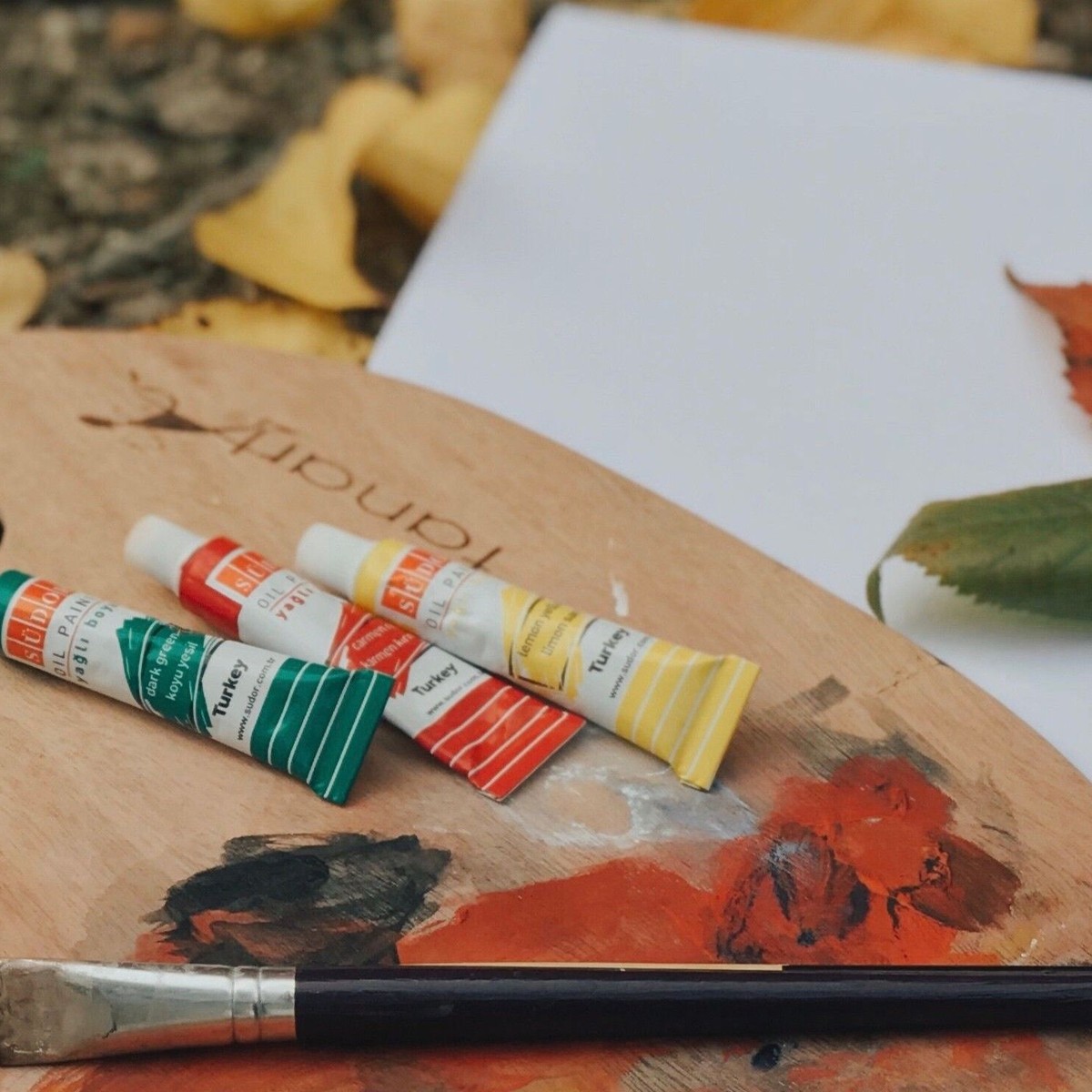Houten palet met verftubes en penseel, blanco papier en gekleurde bladeren op werkblad