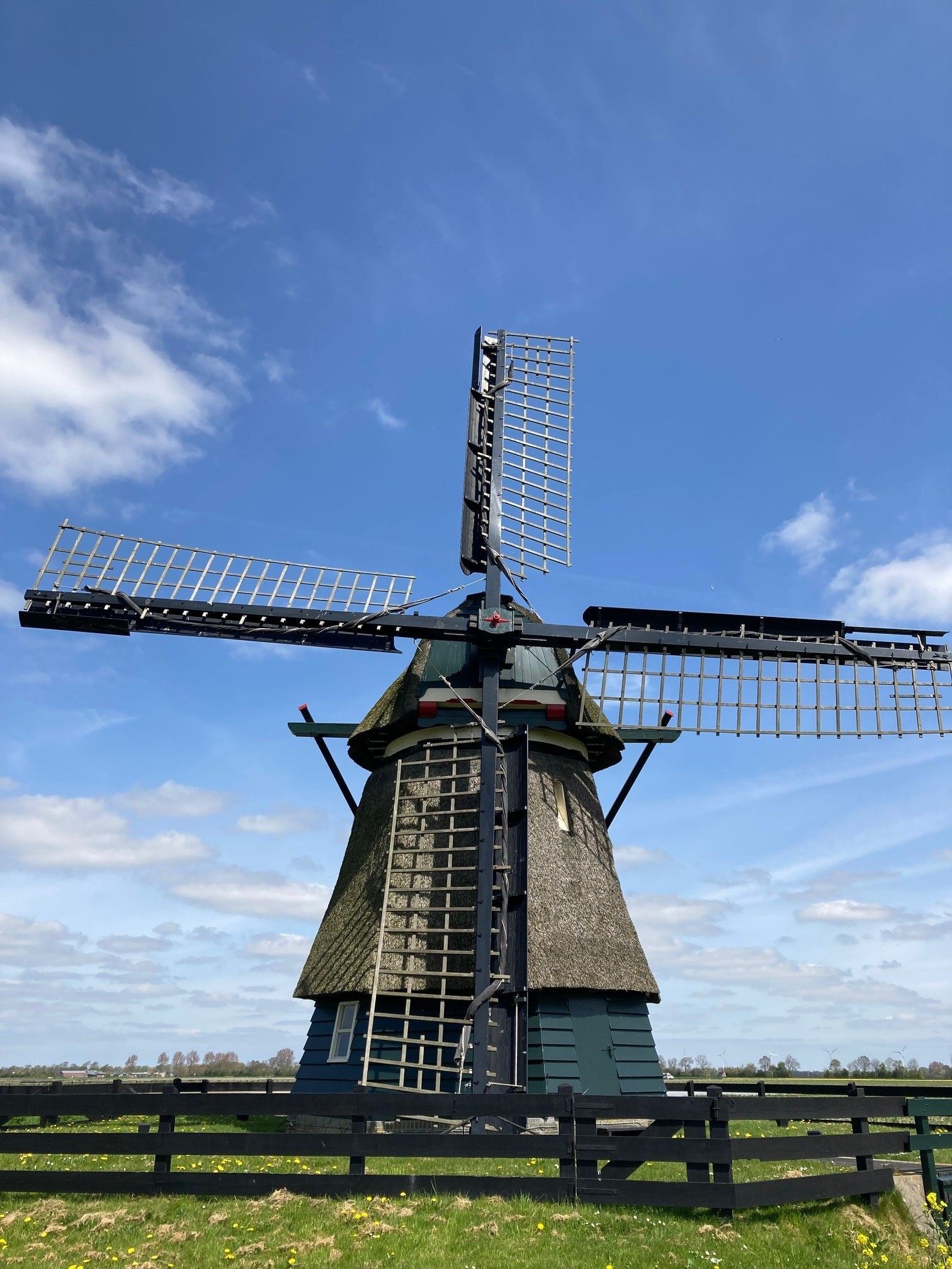 Volledige molen met vier draaiende wieken, stenen onderbouw met groene afwerking, op houten palen in weiland.