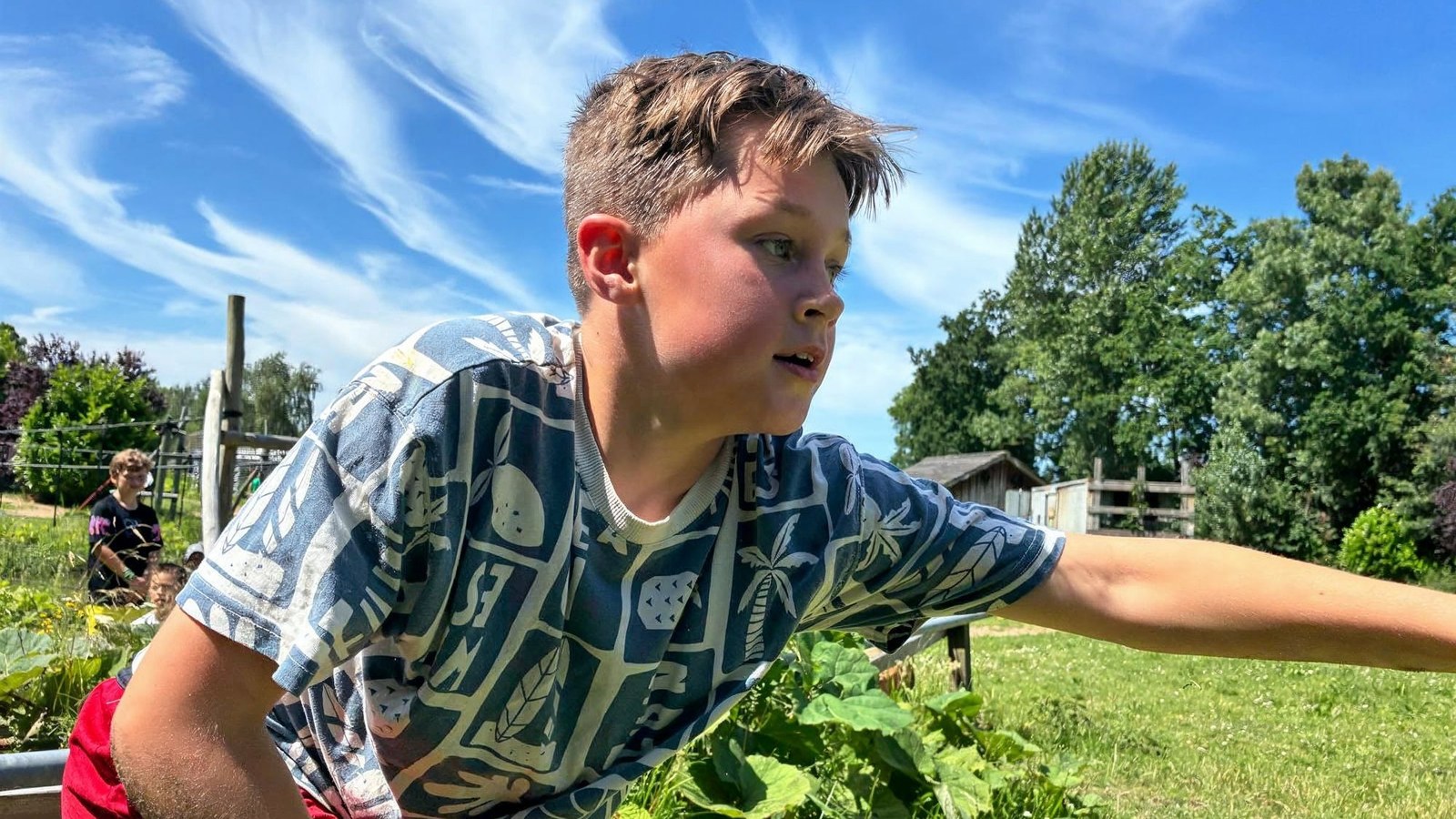 Kind in geruit shirt en rode broek balanceert op klimobstakel in buitenlucht met gras
